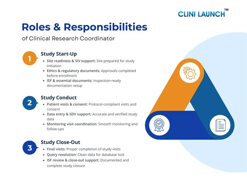 Clinical Research Coordinator Roles and Responsibilities